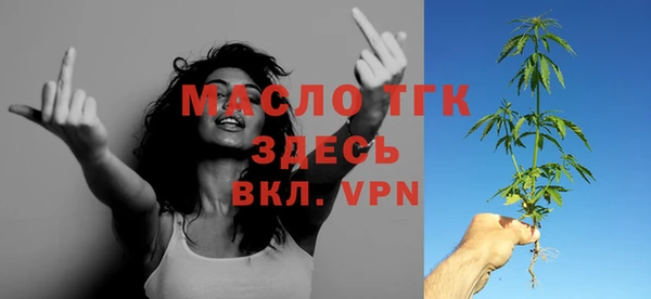 СК Алексин