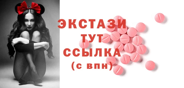 СК Алексин