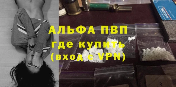 СК Алексин
