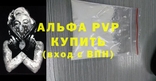 СК Алексин